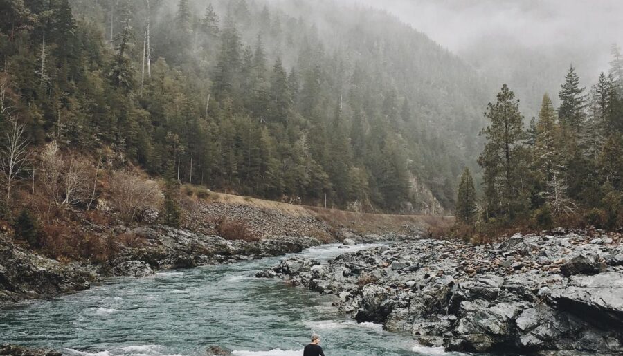 Sed varius ligula vel aliquet fermentum